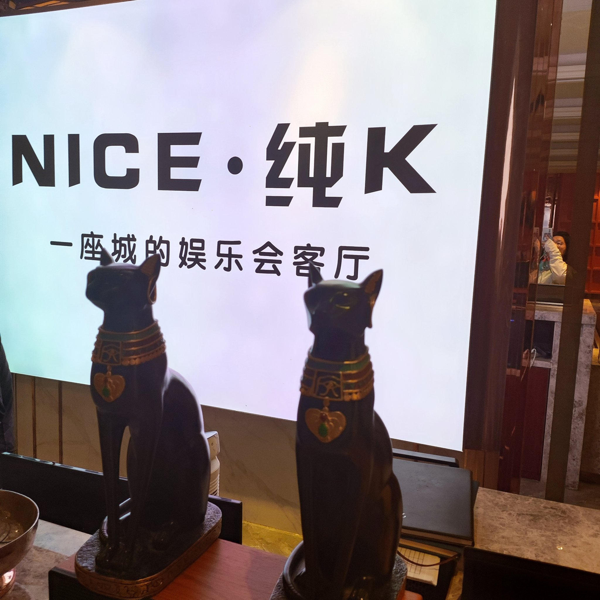 天津商务ktv独特商务ktv玩法推荐-津南区KTV团购